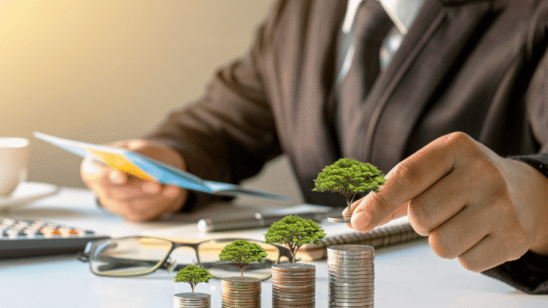 Foreign investments