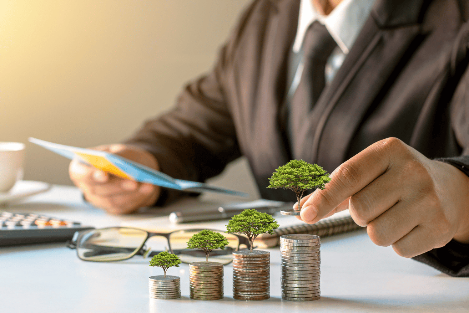 Foreign investments