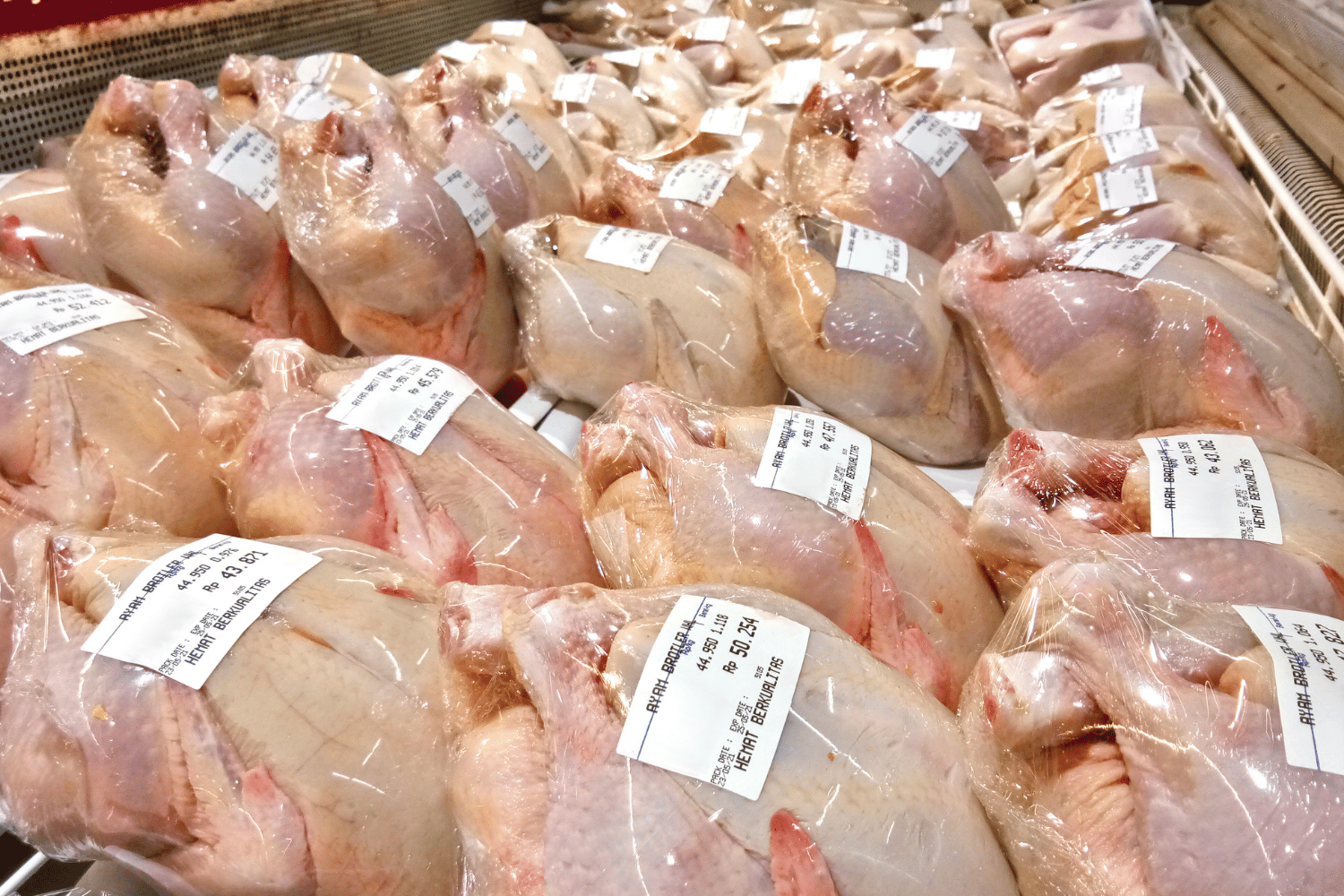 New Laguna poultry plant