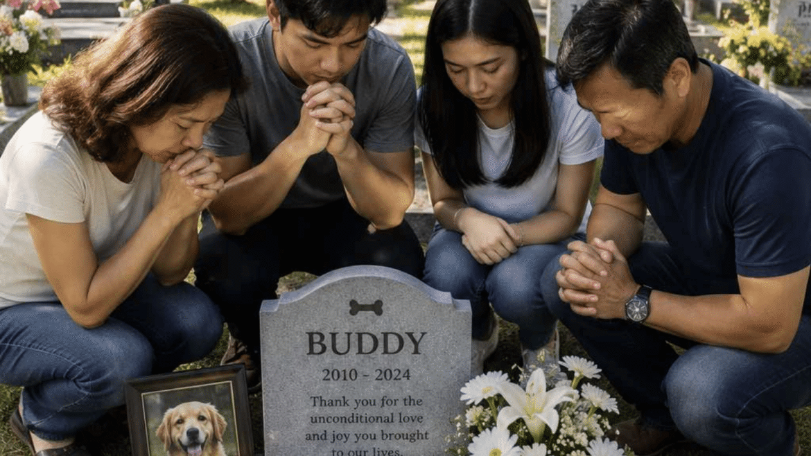 Pet Remembrance Day