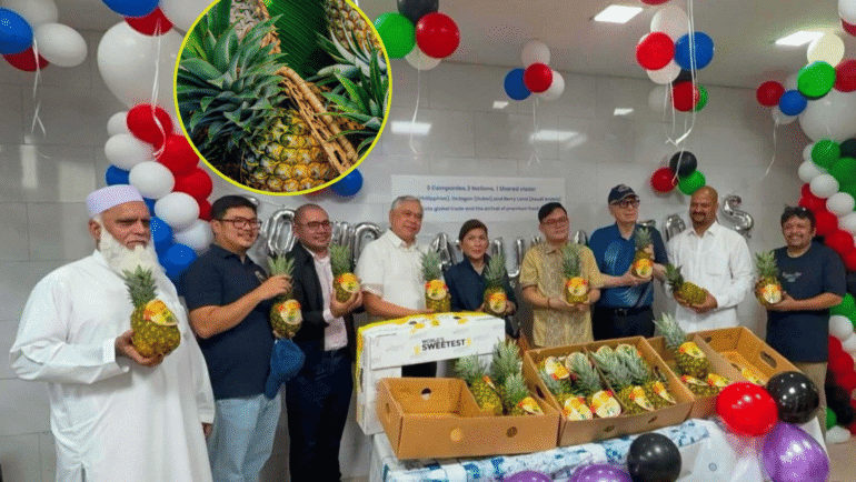 South Cotabato pineapples enter UAE market