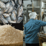 Fish and grain products post price increases as factory gate prices rise 2.9% in May