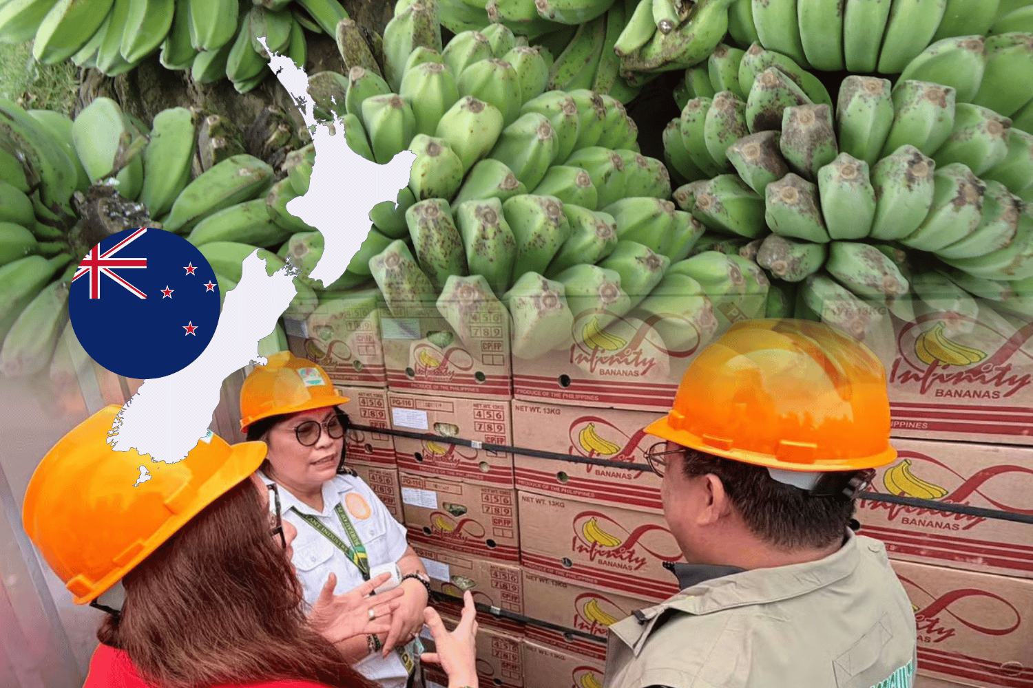 saba banana exports