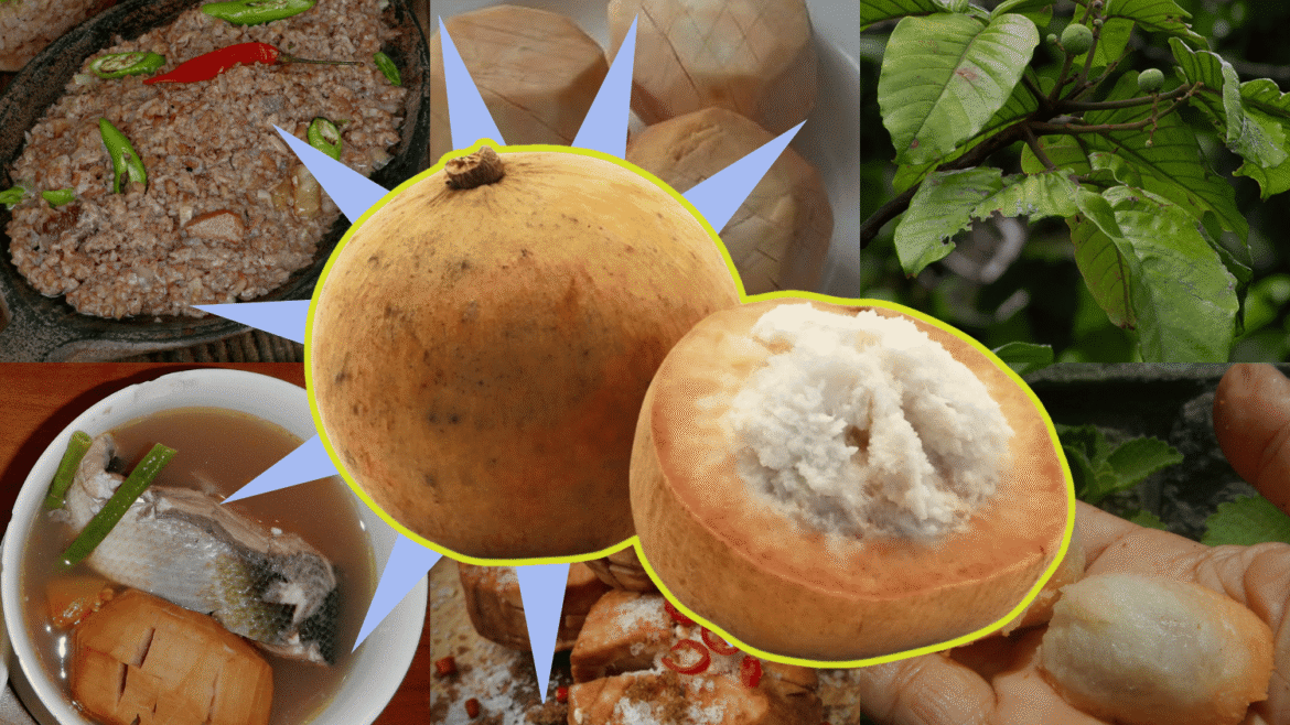 santol