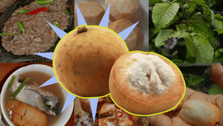 santol