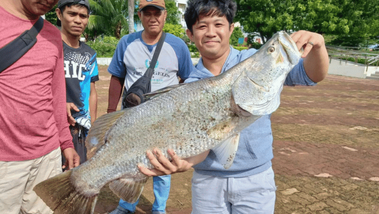sea bass Iloilo River