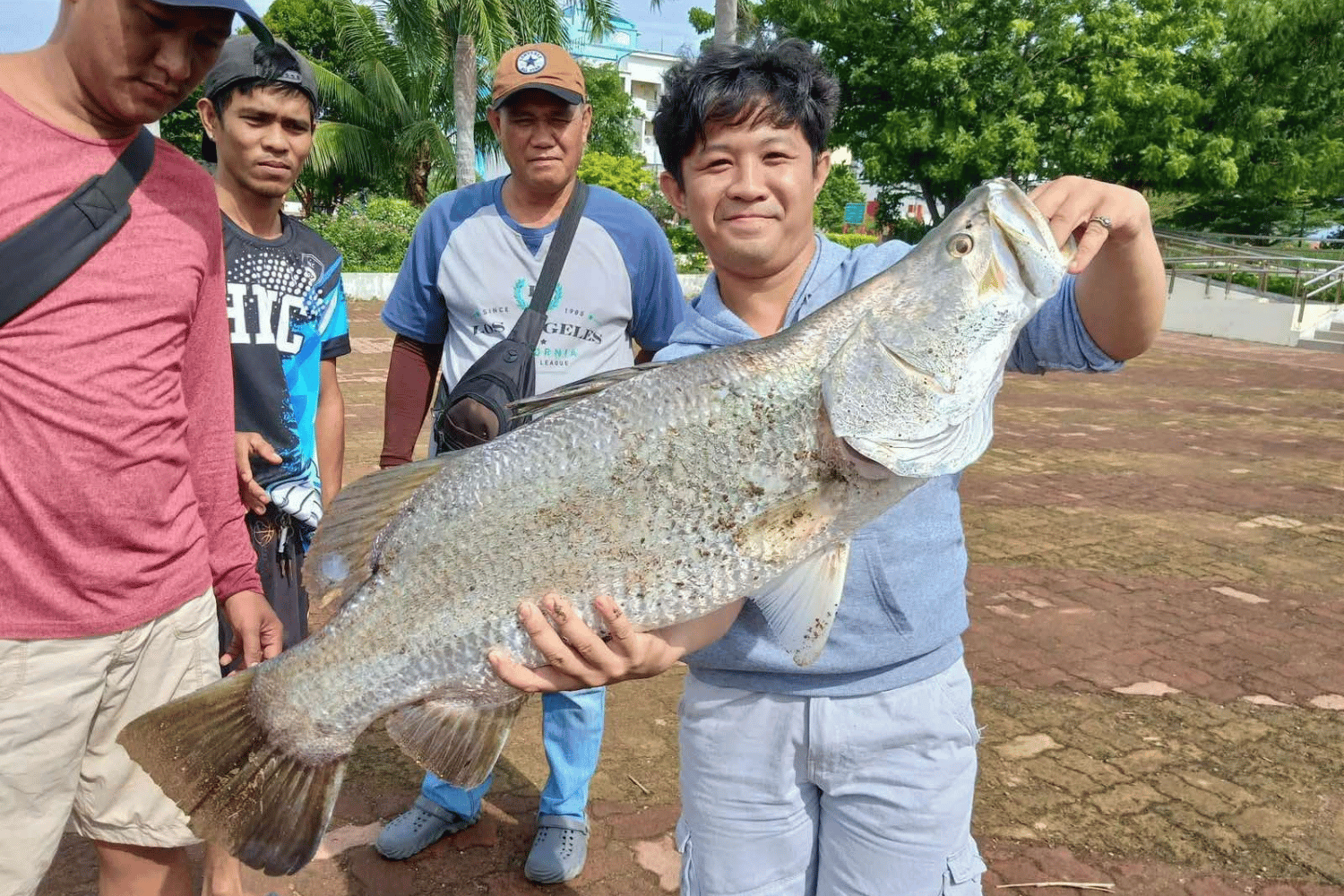 sea bass Iloilo River