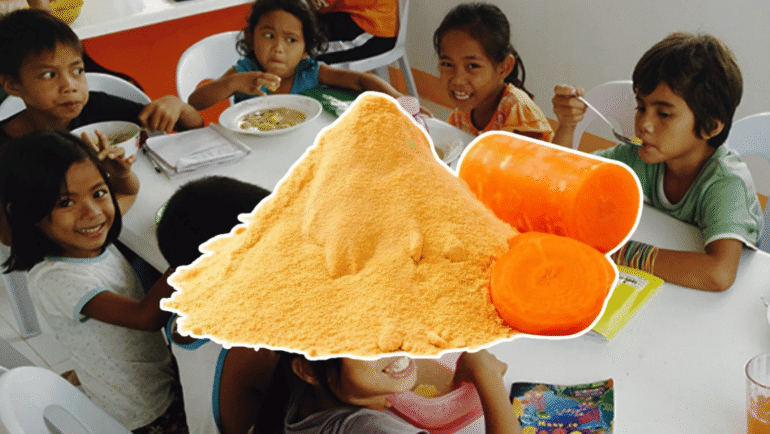 Powdered carrots