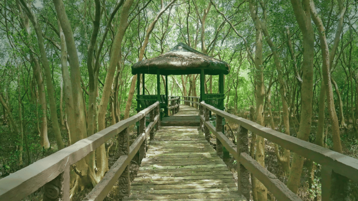 wetland sanctuary