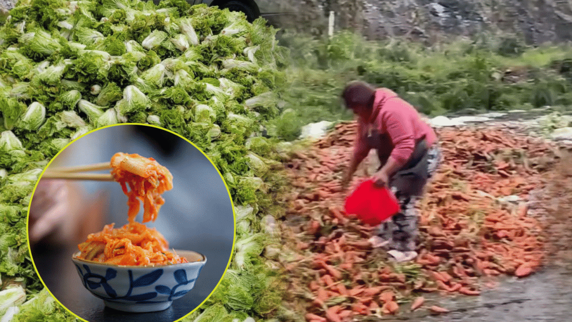 Benguet farmers