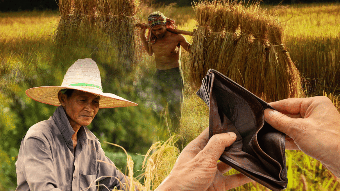 Filipino farmers
