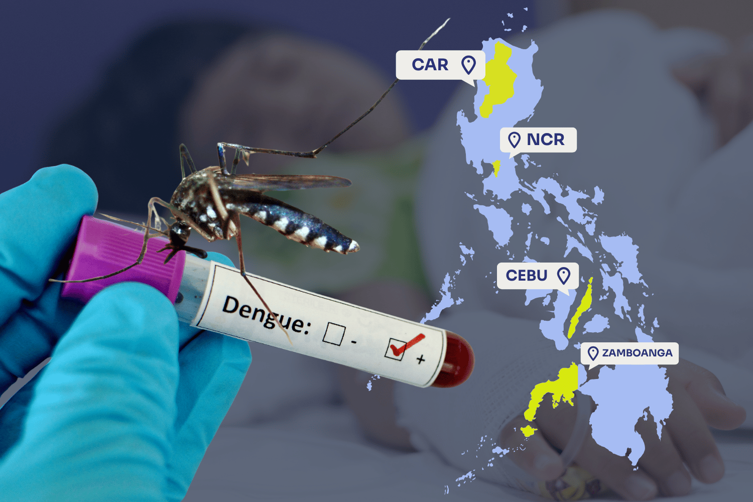 dengue hot spots