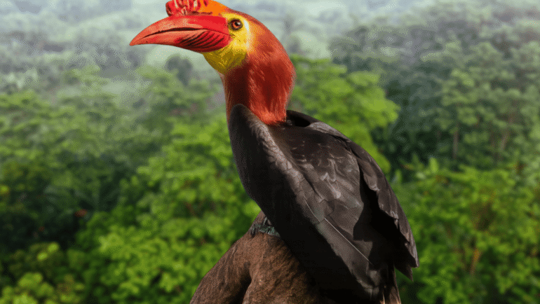 Dulungan