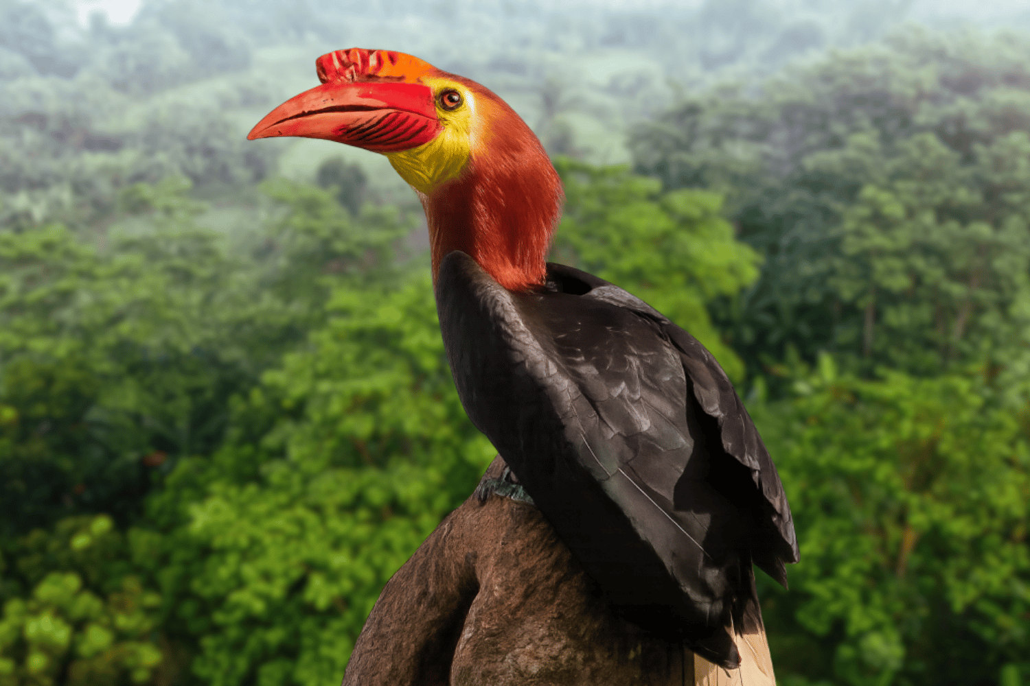Dulungan