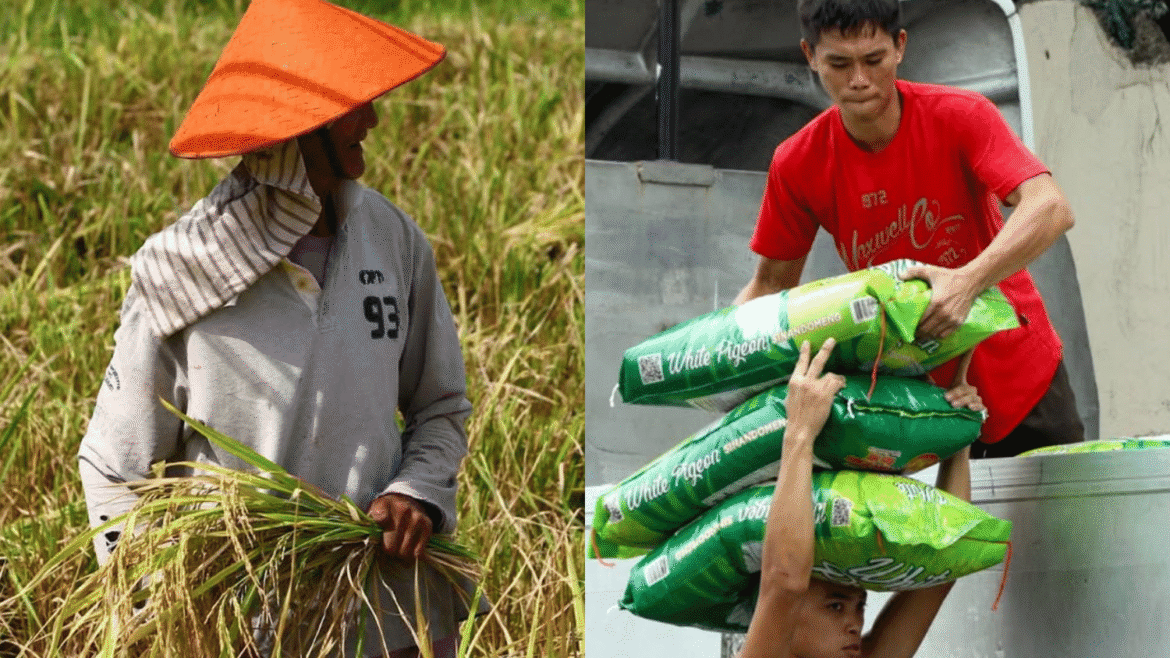 Rice imports