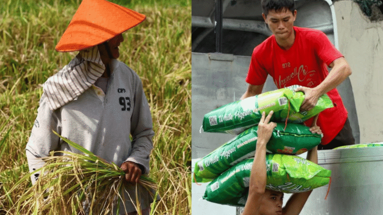 Rice imports