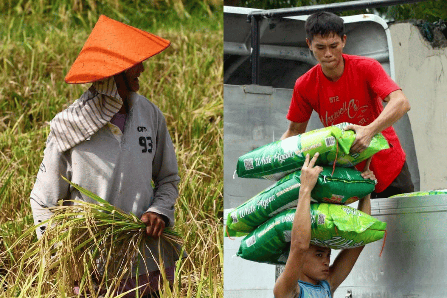 Rice imports