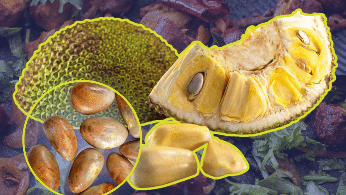 Langka seeds