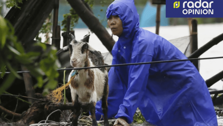 pets need an evacuation plan
