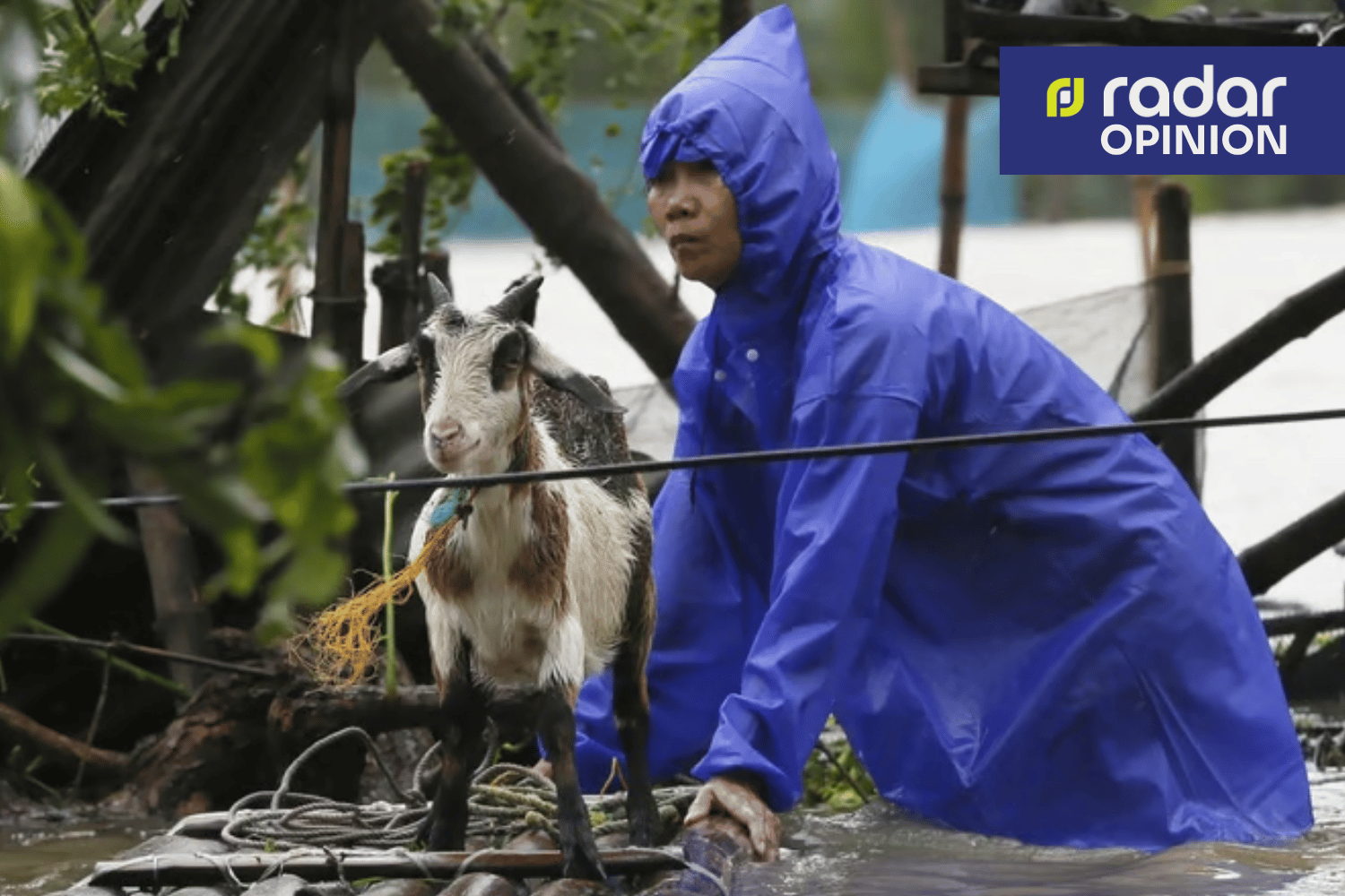 pets need an evacuation plan