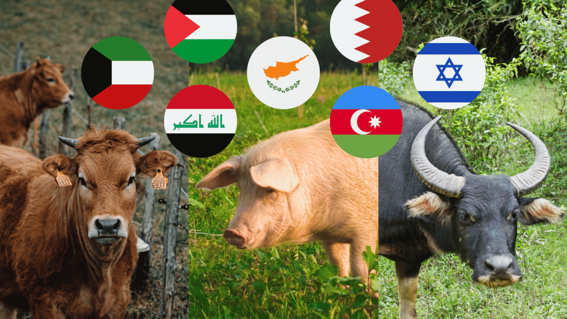 livestock imports