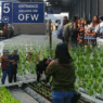 Returning OFWs urged to become ‘agripreneurs’ 