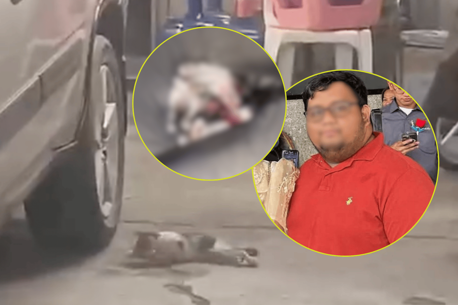 Student allegedly shoots three kittens to death with airsoft gun in Quezon