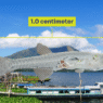 The world’s smallest food fish has vanished from Lake Buhi