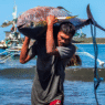 WARNING: We’re catching our tuna faster than they can recover