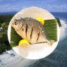₱1,650 pompano in Bohol?