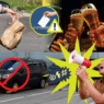 You probably break some of these PH laws without even knowing it