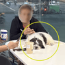 Zus Coffee roasted for allowing dog on table